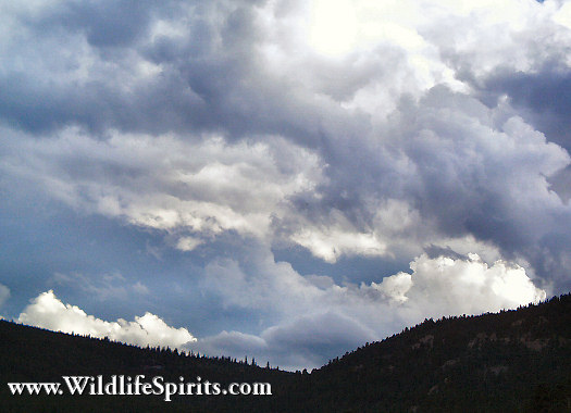 Click Picture to send as an  E-PostCard 52k 525x380